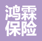 四川鴻霖保險(xiǎn)代理有限公司